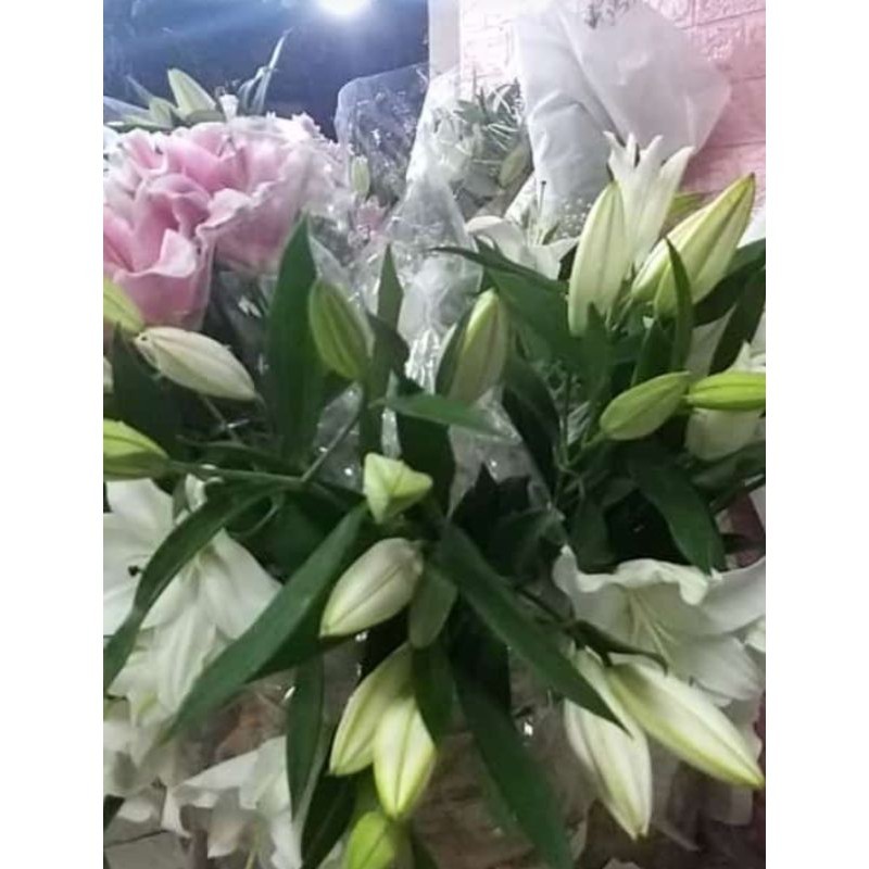 bunga potong bunga Lily segar/1 tangkai