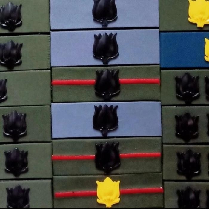 PREMIUM PANGKAT TOPI PDL MAYOR LOGAM - PANGKAT TOPI PET PDH MAYOR LOGAM