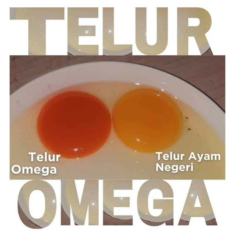 

Telur Ayam Omega 3 Fresh 30 Butir Khusus Bandung