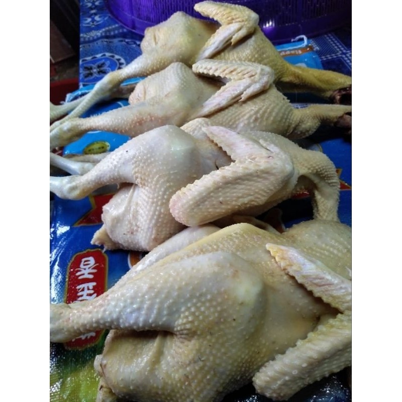 

Ayam Kampung Instan Bandung Sembelih Dadakan