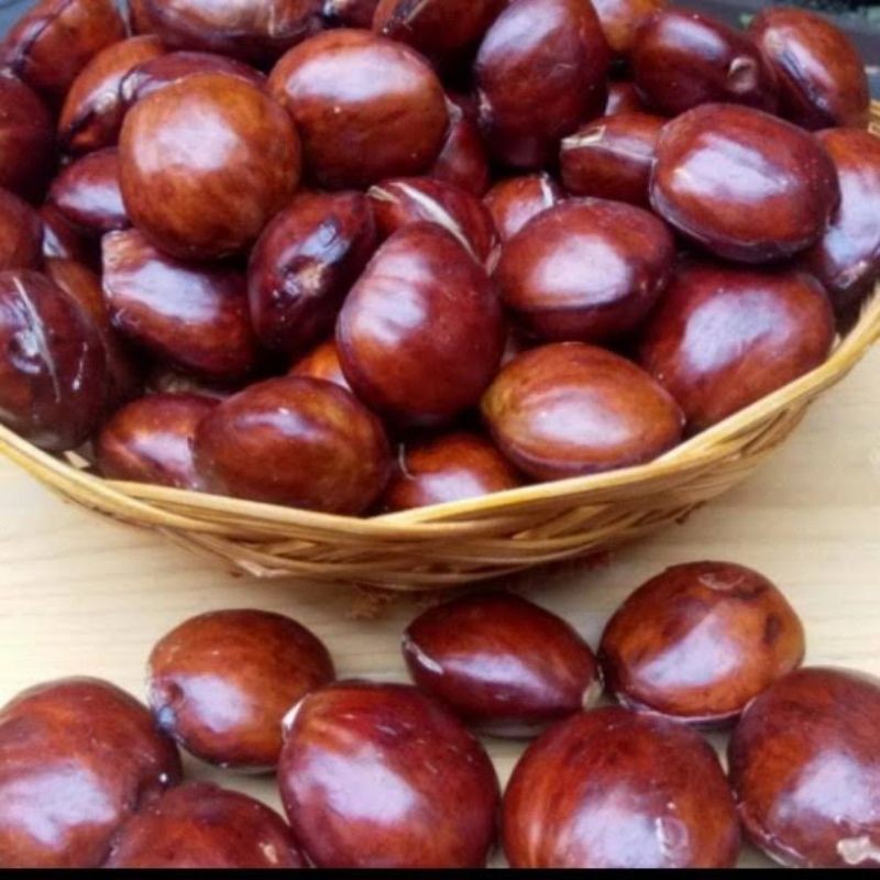 

SUPER PROMO Jengkol Tua 500gram naga_exspress