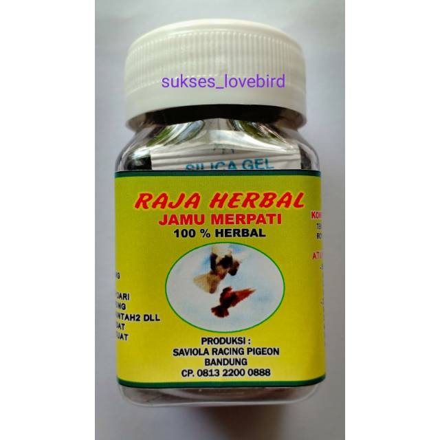 Jamu Merpati Raja Herbal(250 butir)