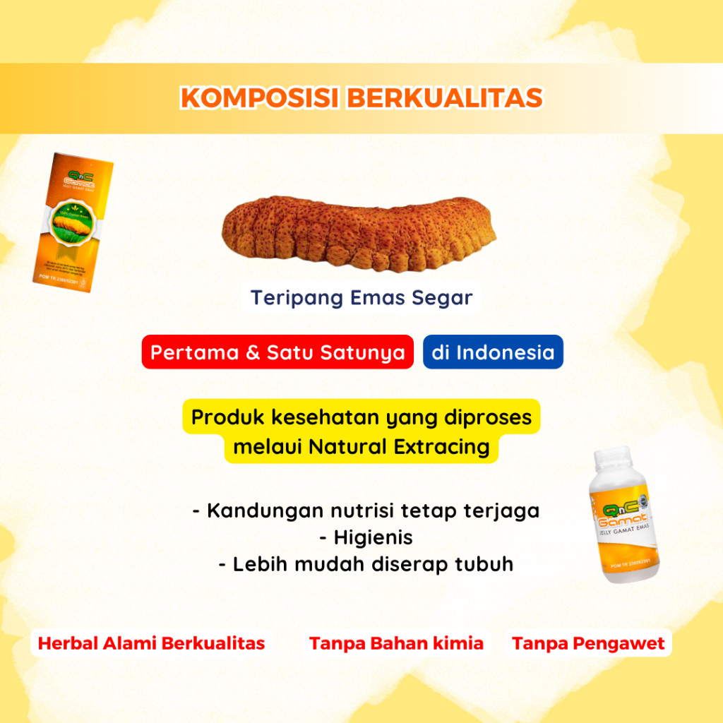 QnC Jelly Gamat Obat Tulang Keropos Penuran Osteoporosis