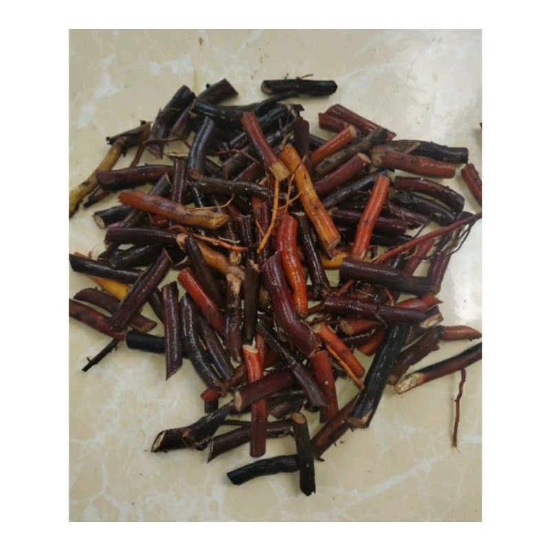 

Akar Pohon Kelapa Segar 1 Kg