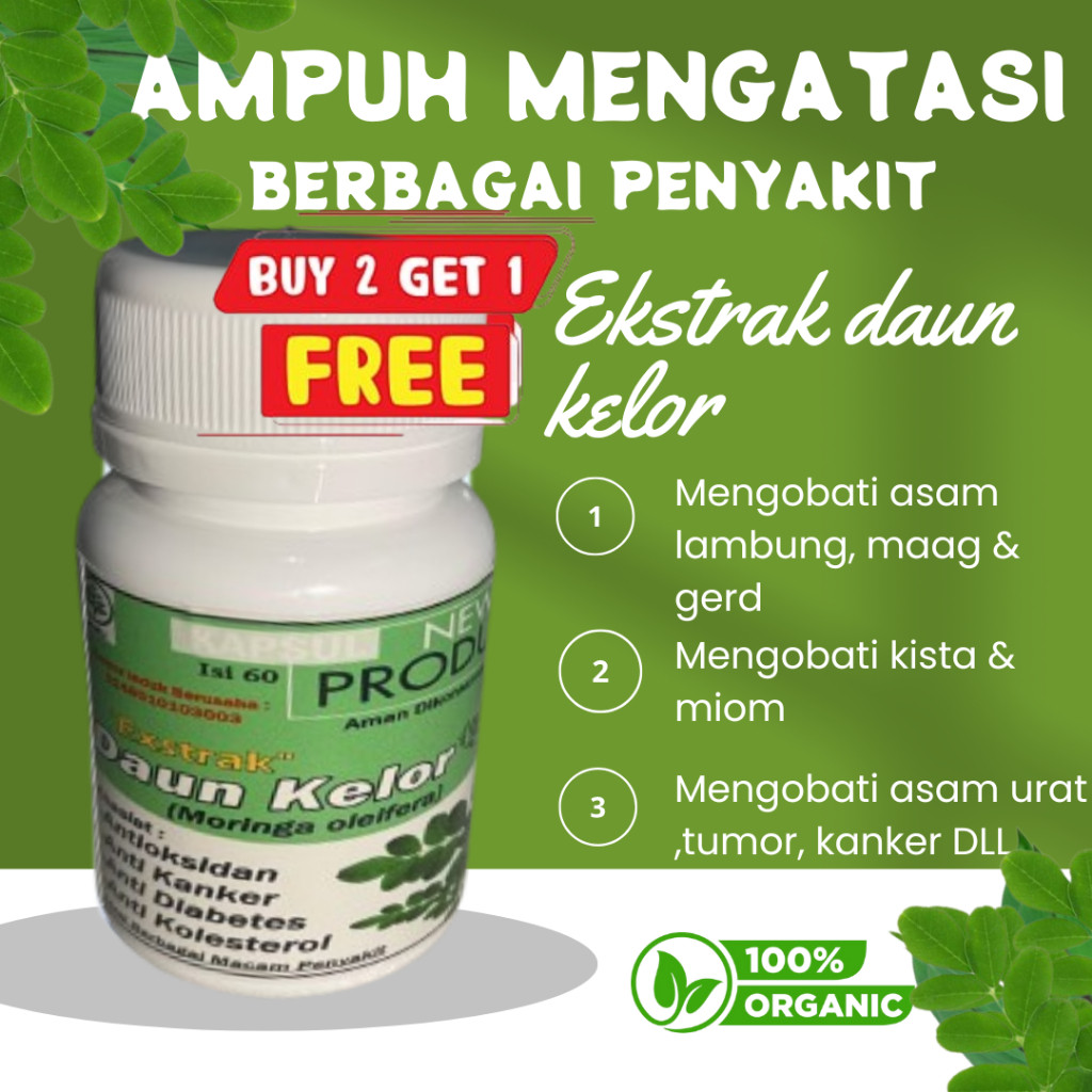EKSTRAK DAUN KELOR MURNI 100% ORGANIK KAPSUL DAUN KELOR MORINGA OLIFIERA EKSTRAK DAUN KELOR KERING