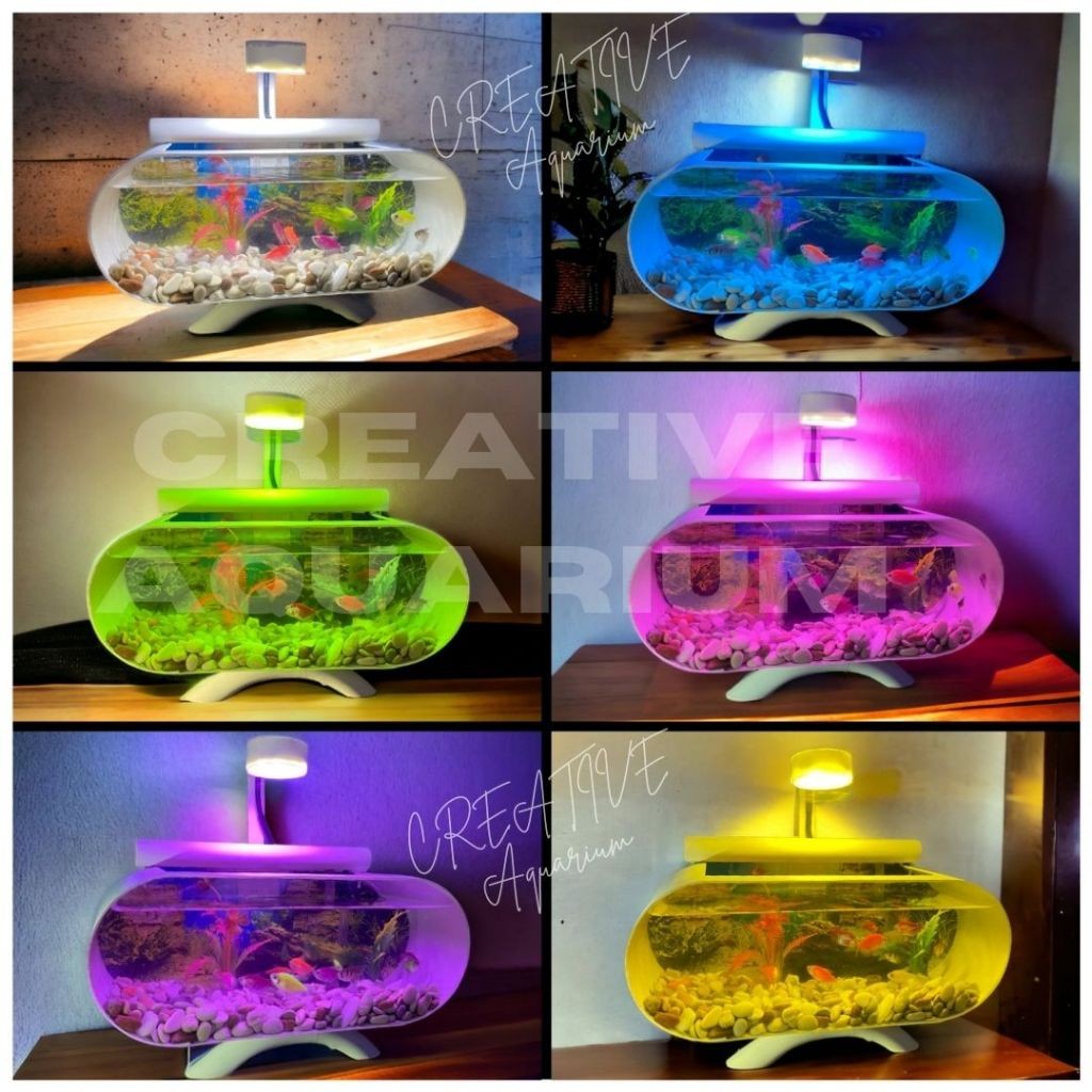 [] 1 SET AQUARIUM AKRILIK CUPANG MINI PLUS MESIN AERATOR AIR MANCUR DAN LAMPU LED AQUARIUM BB002