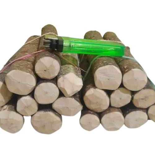 bahan stek bonsai anting putri waru sancang sakura micro