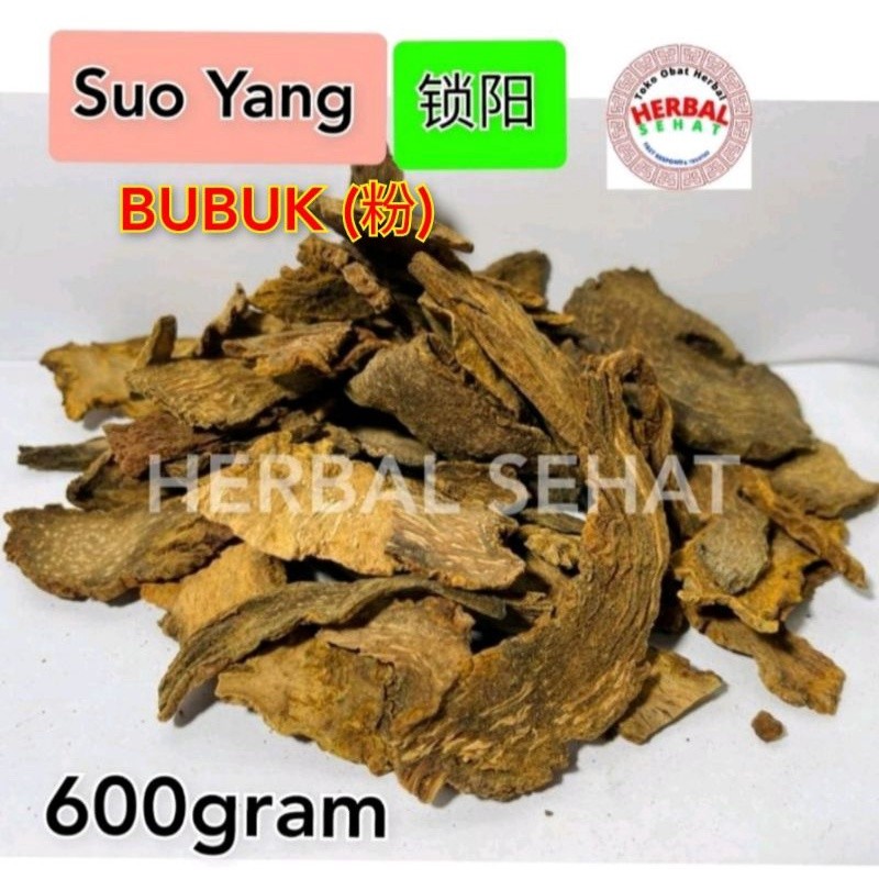 

BUBUK - 1 kg - Suo Yang Fen / Jiu Suo Yang Fen BUBUK - So Jong Herba Cynomorii Songarici [PREMIUM]