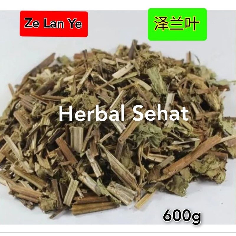 

Ze Lan Ye Zelan 600g Herba Lycopi Lucidi bugleweed [PREMIUM]