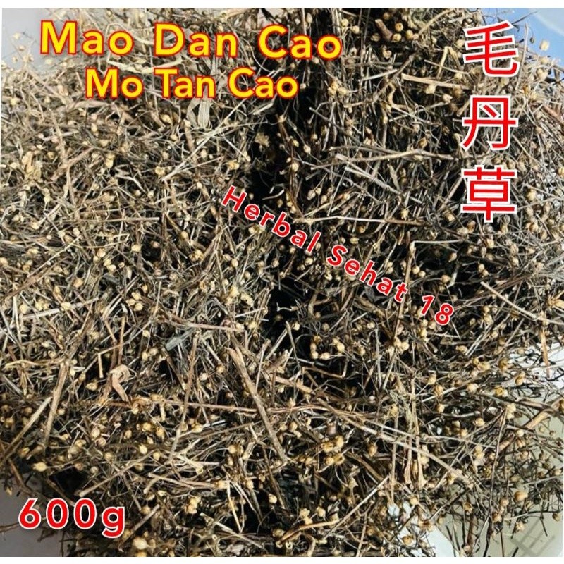 

Mao Dan Cao / Mo Tan Cho / Motanco 600g Herbal Untuk Tipes [PREMIUM]
