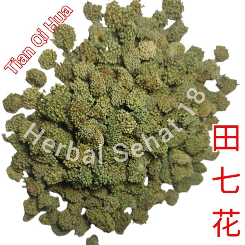 

600 Gram - Panax Noto Ginseng Flower Tea / Teh Bunga Ginseng Tian Qi Hua / Noto Ginseng Flower