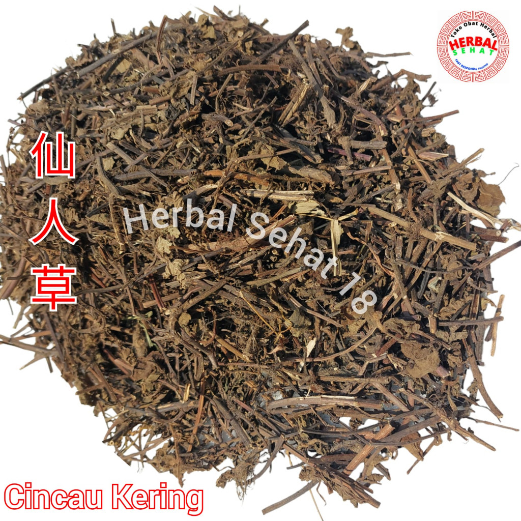 

Daun Cincau Hitam Kering Xian Ren Cao - Lengkong / Leng Kong - Cingcau - Cin Cau [PREMIUM]
