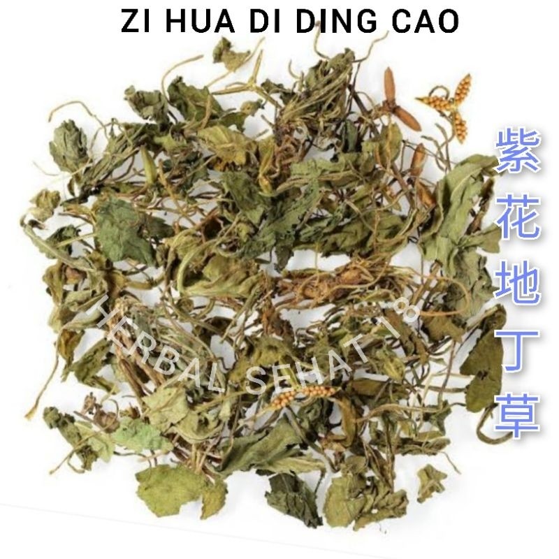 

600 gram - Zi Hua Di Ding Cao Tokyo Violet Herba Violae [PREMIUM]