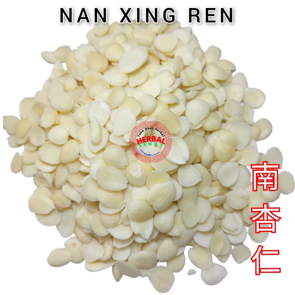 

50 gram Guang Nan Xing Ren Sweet Almond Seed Apricot Seed Manis Fresh Original Herbal [PREMIUM]