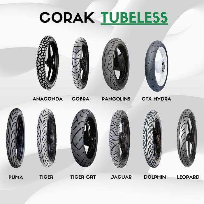 Ban Motor Kingland King Anaconda 100/80-14 Tubeless