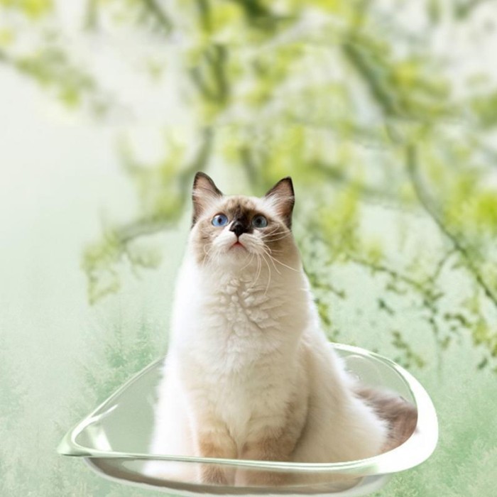 Cat Window Hammock With Strong Suction Cups Pet kitten Hanging Sleeping Bed Shelves for Marble