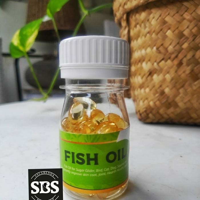 New.. Minyak Ikan Untuk Burung