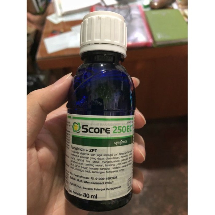 score 80ml fungisida