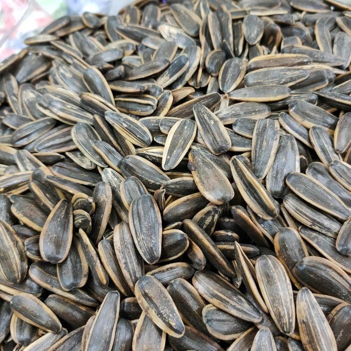 

biji kuaci matahari super 500gr