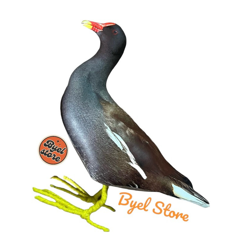 SSN68 Jontrot Burung Mandar Batu - Patung Decoy Burung Mandar