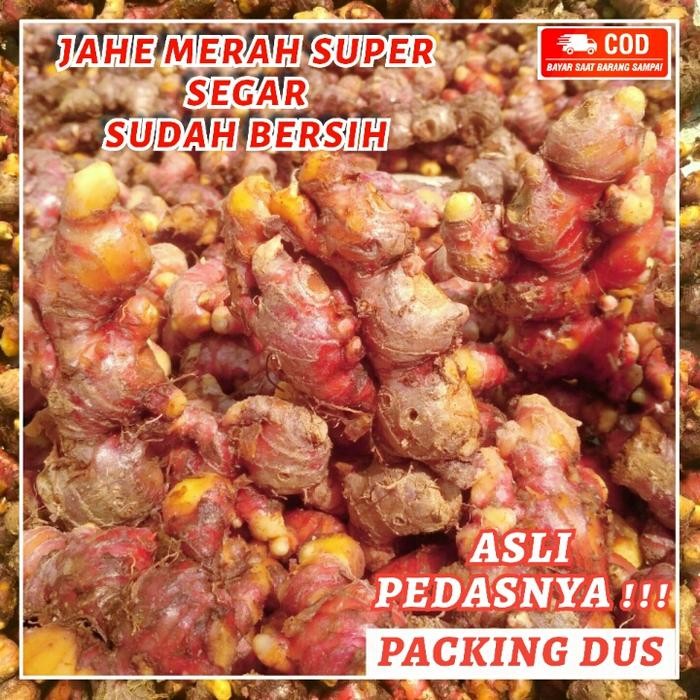 

Baru! Jahe Merah Super Segar 1 kg Asli Lokal New