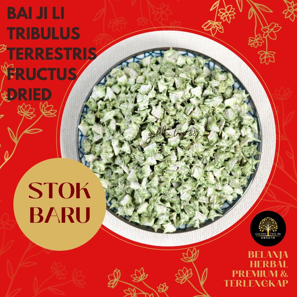 

Terlaris! 100 Gram Tribulus Terrestris Bai Ji Li Lelaki Bergh