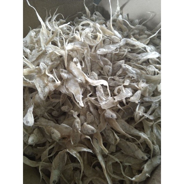 

Terlaris! Ikan asin bulu ayam gr