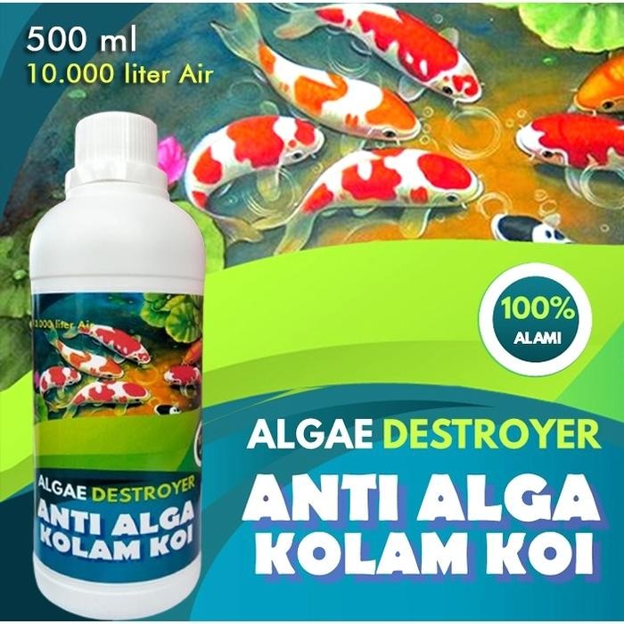 ALGAE DESTOYER ANTI ALGAE ANTI LUMUT DAN PARASIT OBAT PEMBASMI LUMUT KOLAM IKAN HIAS DAN AQUARIUM