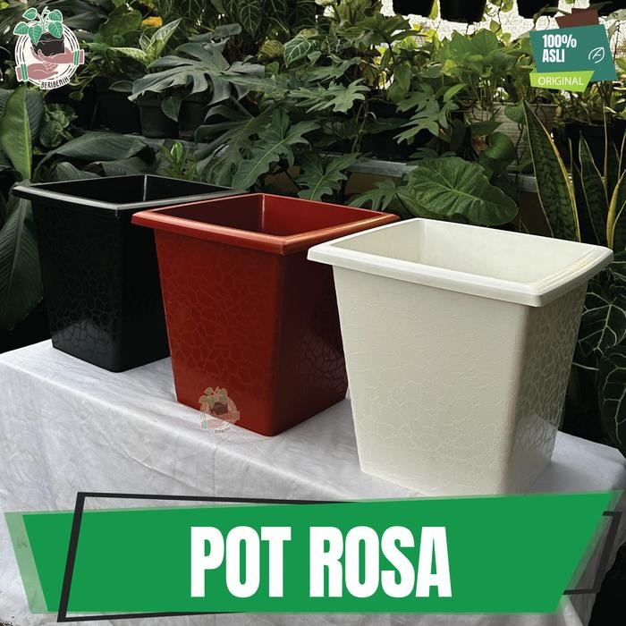 Pot Bunga Kotak Putih Besar 40 Rosa Pot Taman Tanaman Hias Buah Kuat Kode 681