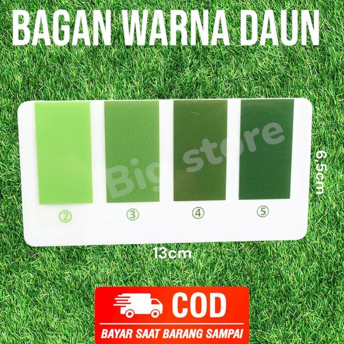 Terlaris Bagan Warna Daun 4 Chart