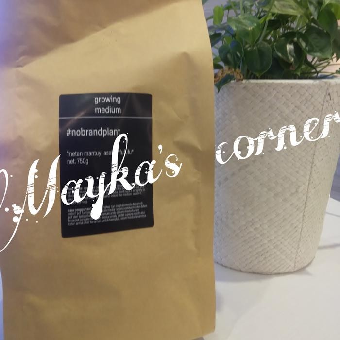 Terlaris Nobrandplant Metan Mantuy Asoka Fufufu