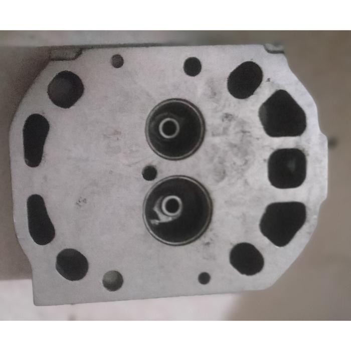 TERLARIS Delivery valve TS Yanmar (A) SALE