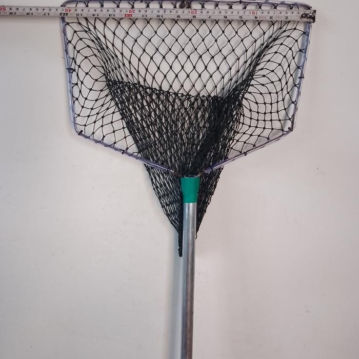 serokan, seser, sair ikan besar 40cm