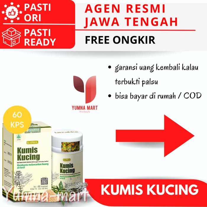 Kumis Kucing Herbal 60 Kapsul Original Asli Daun Kumis Kucing
