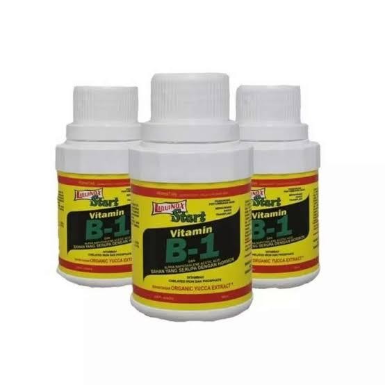 pupuk vit B1 VITAMIN TANAMAN - B1 LIQUINOX obat penumbuh akar tanaman Kode 1293
