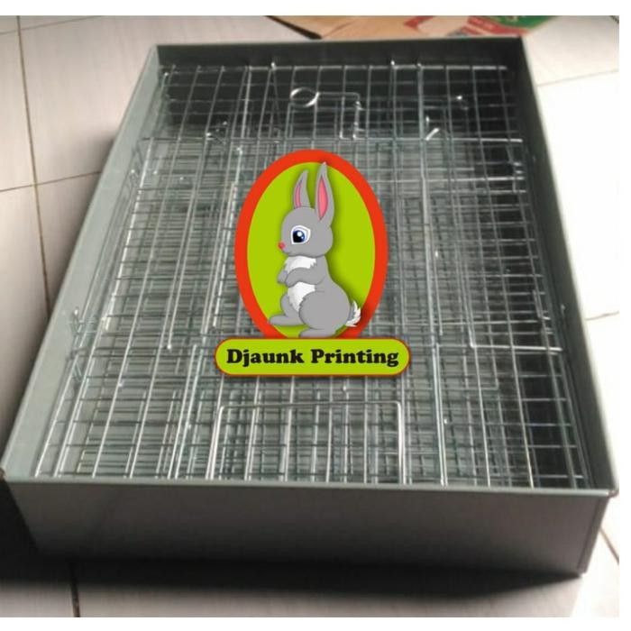 kandang kelinci galvanis ald
