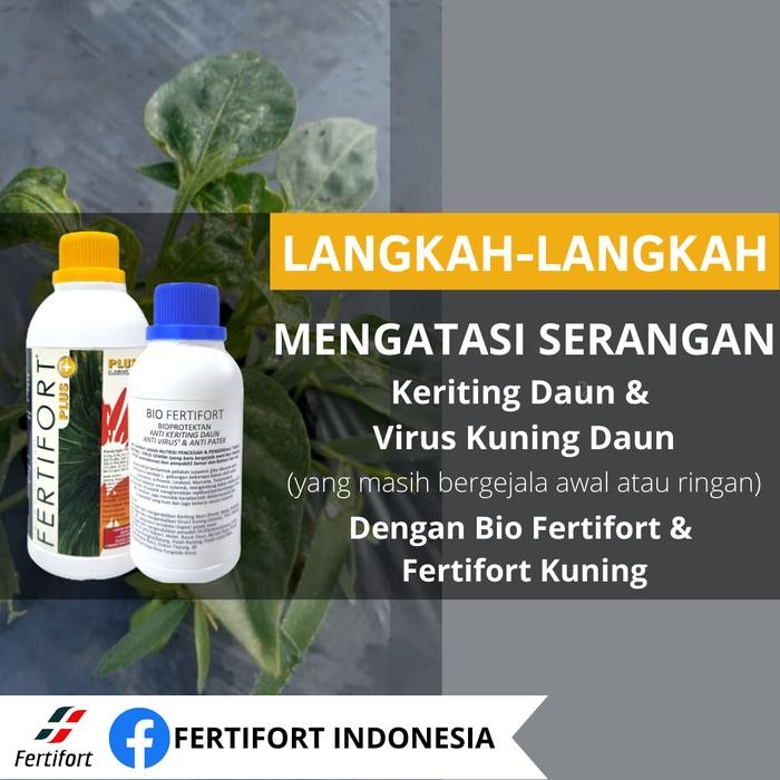 PAKET PUPUK ORGANIK CAIR FERTIFORT DAN BIO FERTIFORT BIOPROTEKTAN ANTIVIRUS PATEK LAYU 500mL