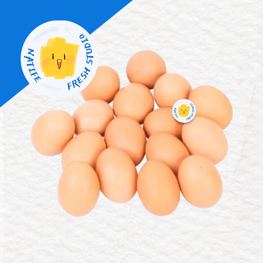 

TELUR Ayam 1 kg | Satu Kilo Eggs SEGAR FRESH - Tanpa Tray