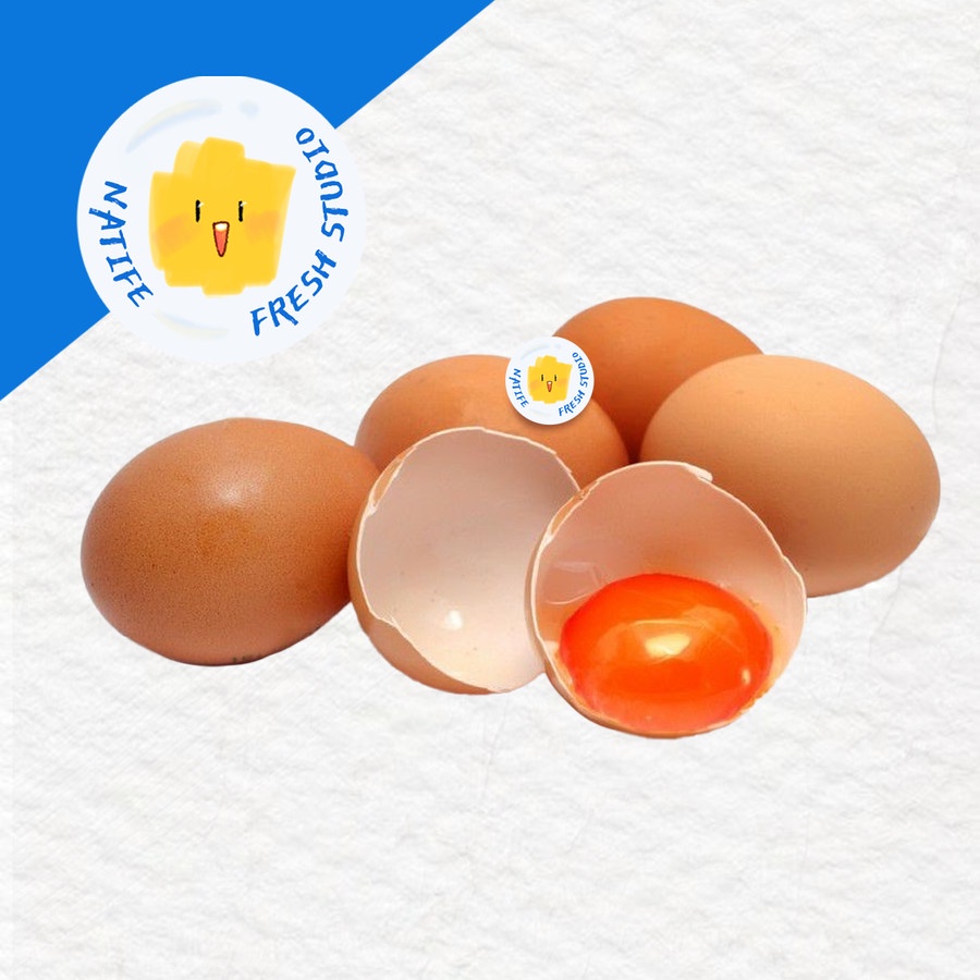 

TELUR Ayam OMEGA 3 Eggs - per 1 pc / 10 pcs | SEGAR FRESH - 1 telur