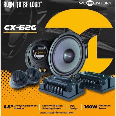Speaker Momentum CX-62G Split 2 way component