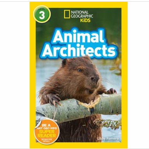 

Animal Architects (L3)