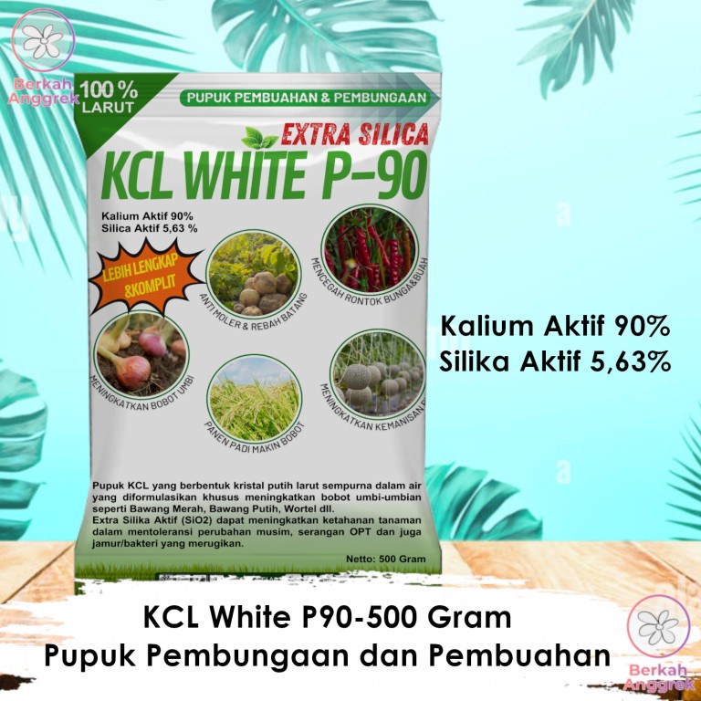 KCL White P-90 Plus Silika Pupuk Pembuahan dan Pembesar Umbi
