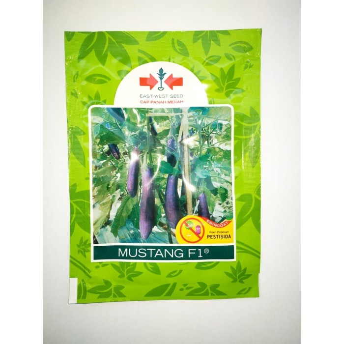 Bibit buah TERONG UNGU MUSTANG F1 CAP PANAH MERAH PREMIUM