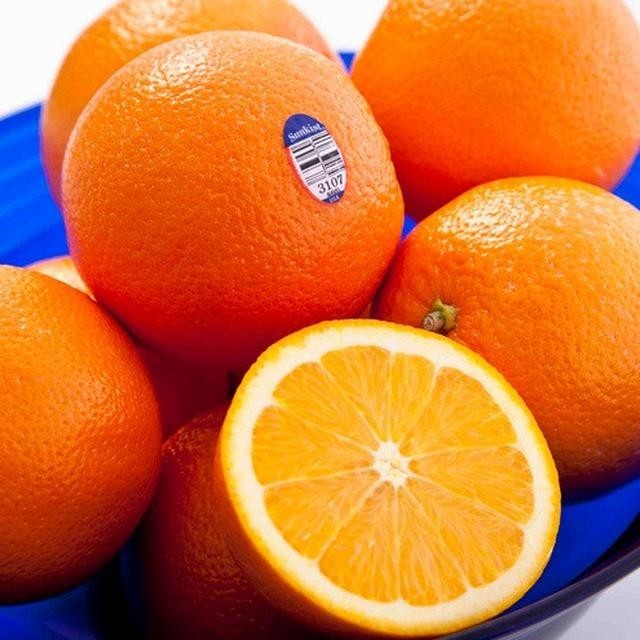 POHON VIRAL HANCUR Bibit Tanaman Buah Jeruk Sunkist Navel PREMIUM