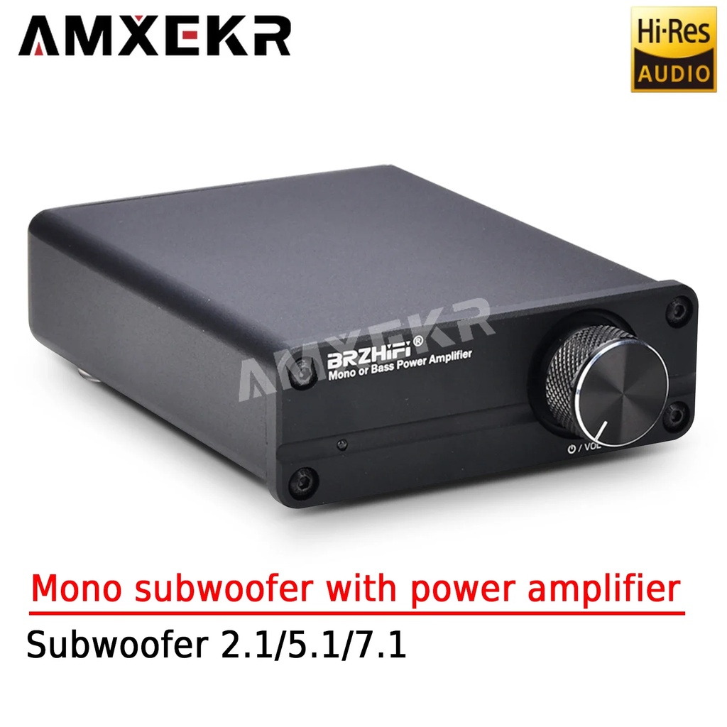 DIYQU Mono Subwoofer with Power Amplifier AV Home Theater SUB/SWF-OUT with Subwoofer 2.1/5.1/7.1 Hom