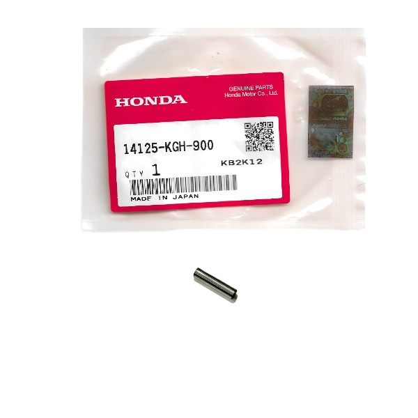 Pen Dekompresi CS-1 (14125-KGH-900) HGP