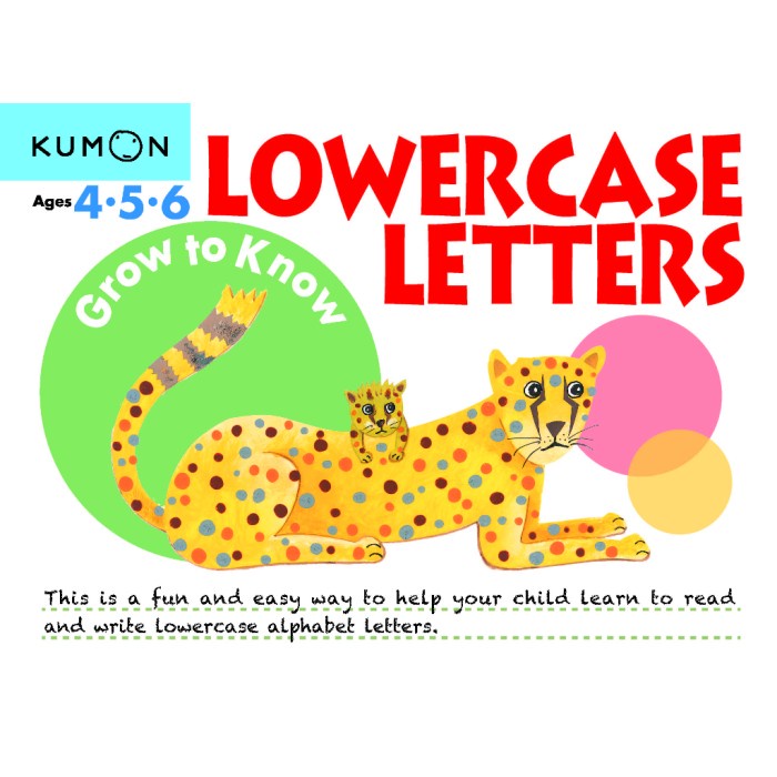 

TERLARIS! Kumon Book Lowercase Letter