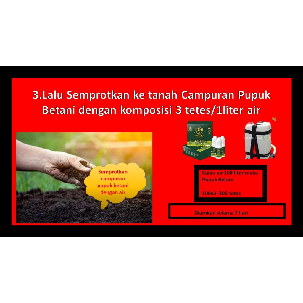 Terbatas Pupuk Betani Terbaik, Pupuk Organik Untuk Jagung Manis, Pupuk Cair Untuk Jagung, Pupuk