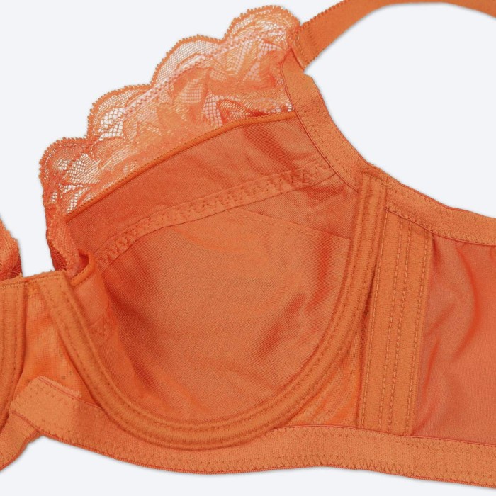 The Brahouse Bra Full Cup D B01-1412D Harga Promo