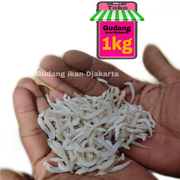 

BARANG TERLARIS ikan asin teri medan toge super netto-1kg